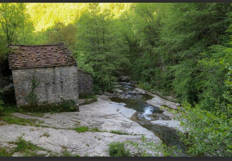 Wayne'S House, A Short Walk To The Waterfalls 바노네 외부 사진